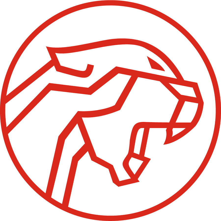 SIU Edwardsville Cougars 1973-2001 Alternate Logo diy iron on heat transfer